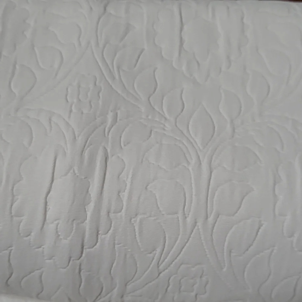 Boundary white seren